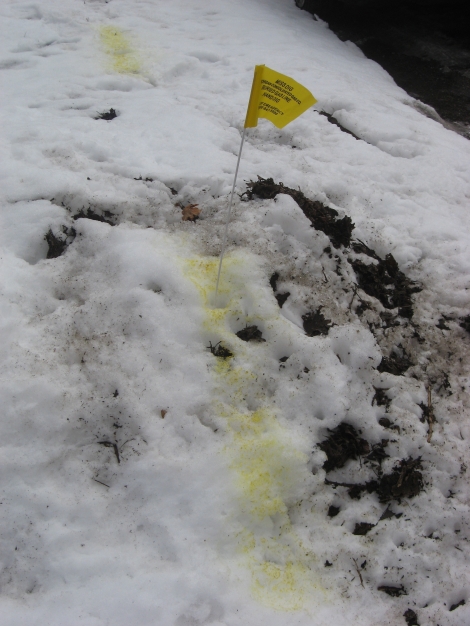 snow with yellow strip